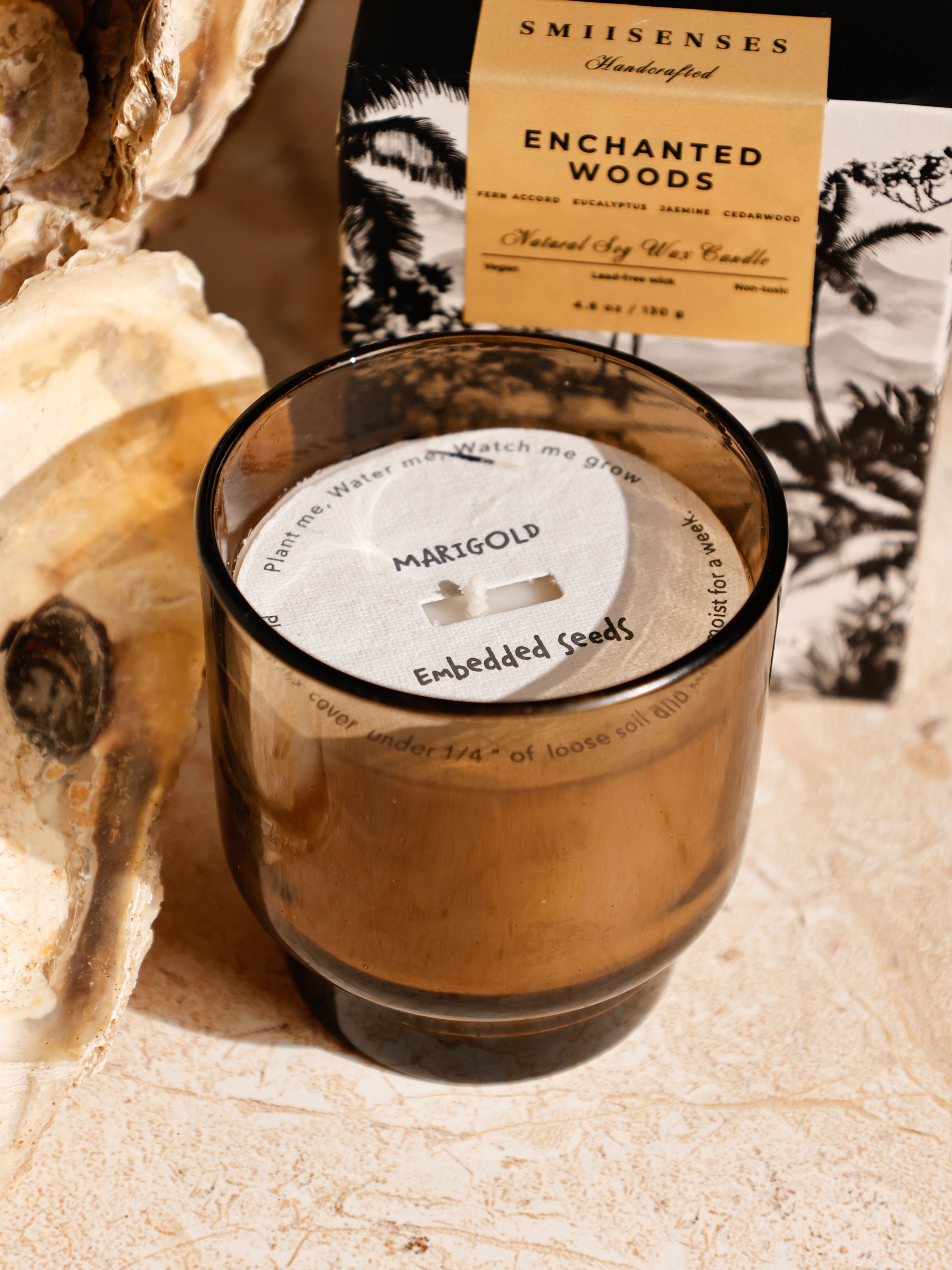 Enchanted Woods – Scented Candle with Eco-Friendly Plantable Lid | Fern, Eucalyptus & Cedarwood