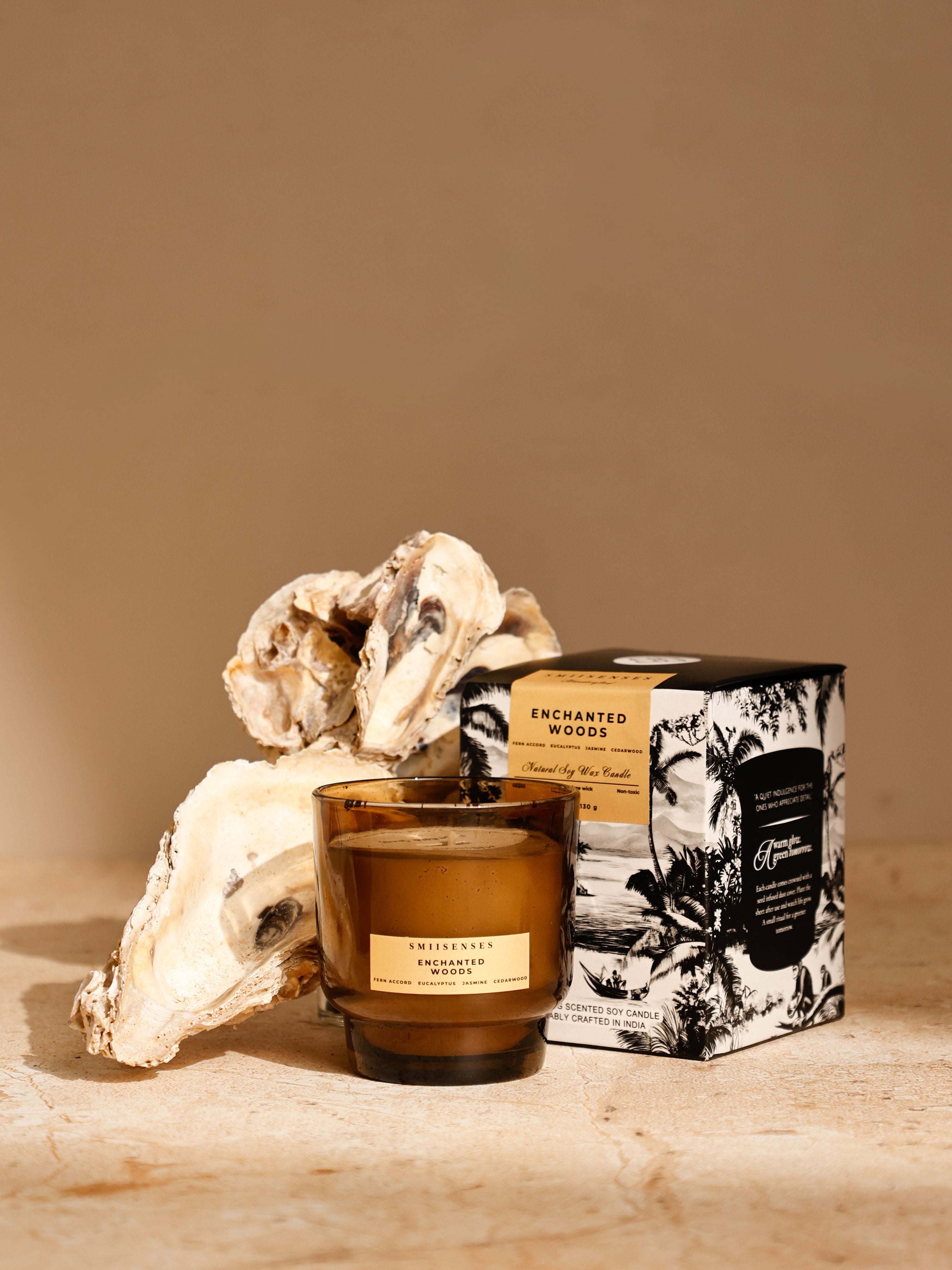 Enchanted Woods – Scented Candle with Eco-Friendly Plantable Lid | Fern, Eucalyptus & Cedarwood