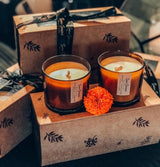 Botanical Twin Box (Set of 2)